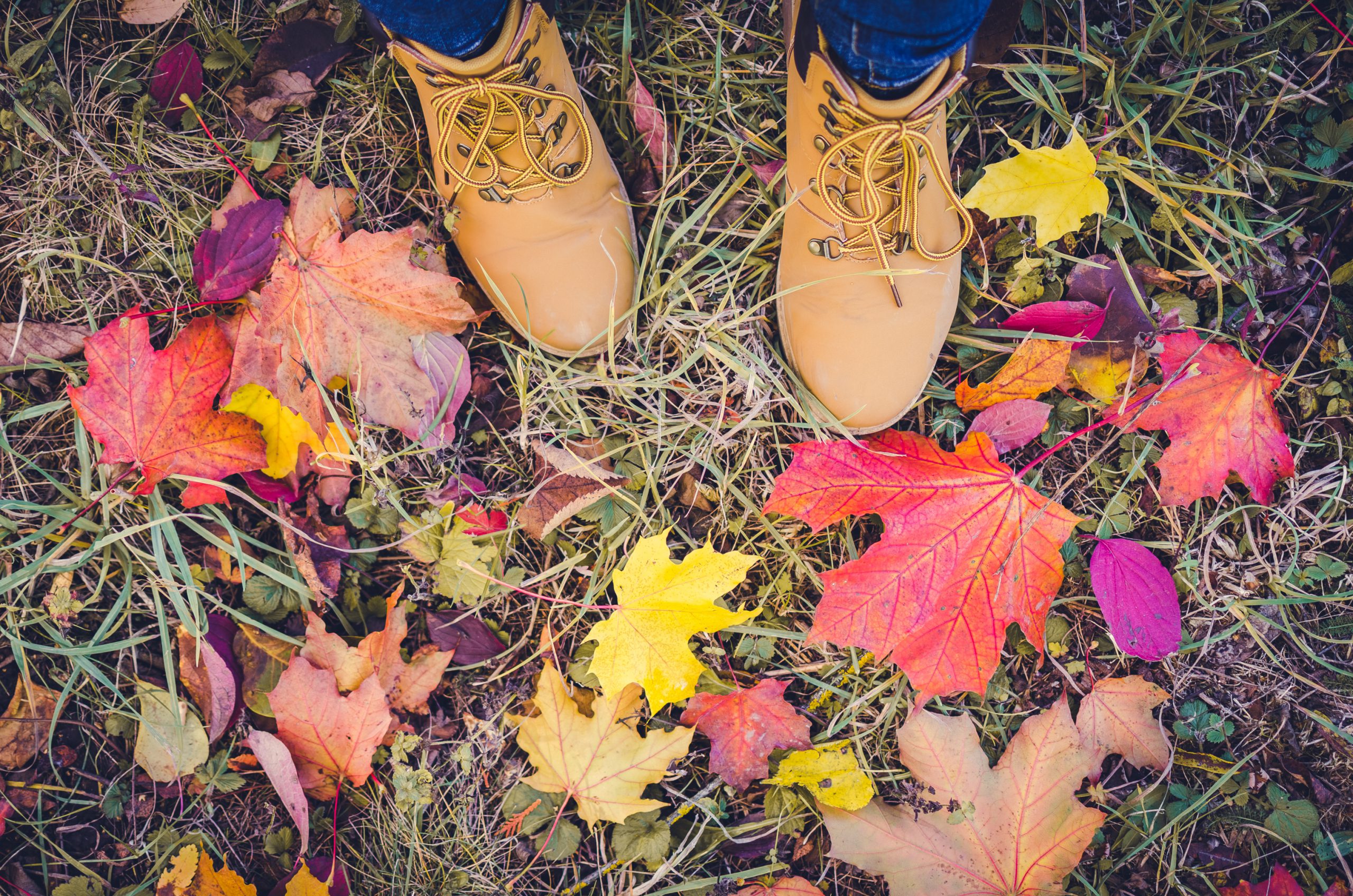 How To Prepare Your Yard For Winter