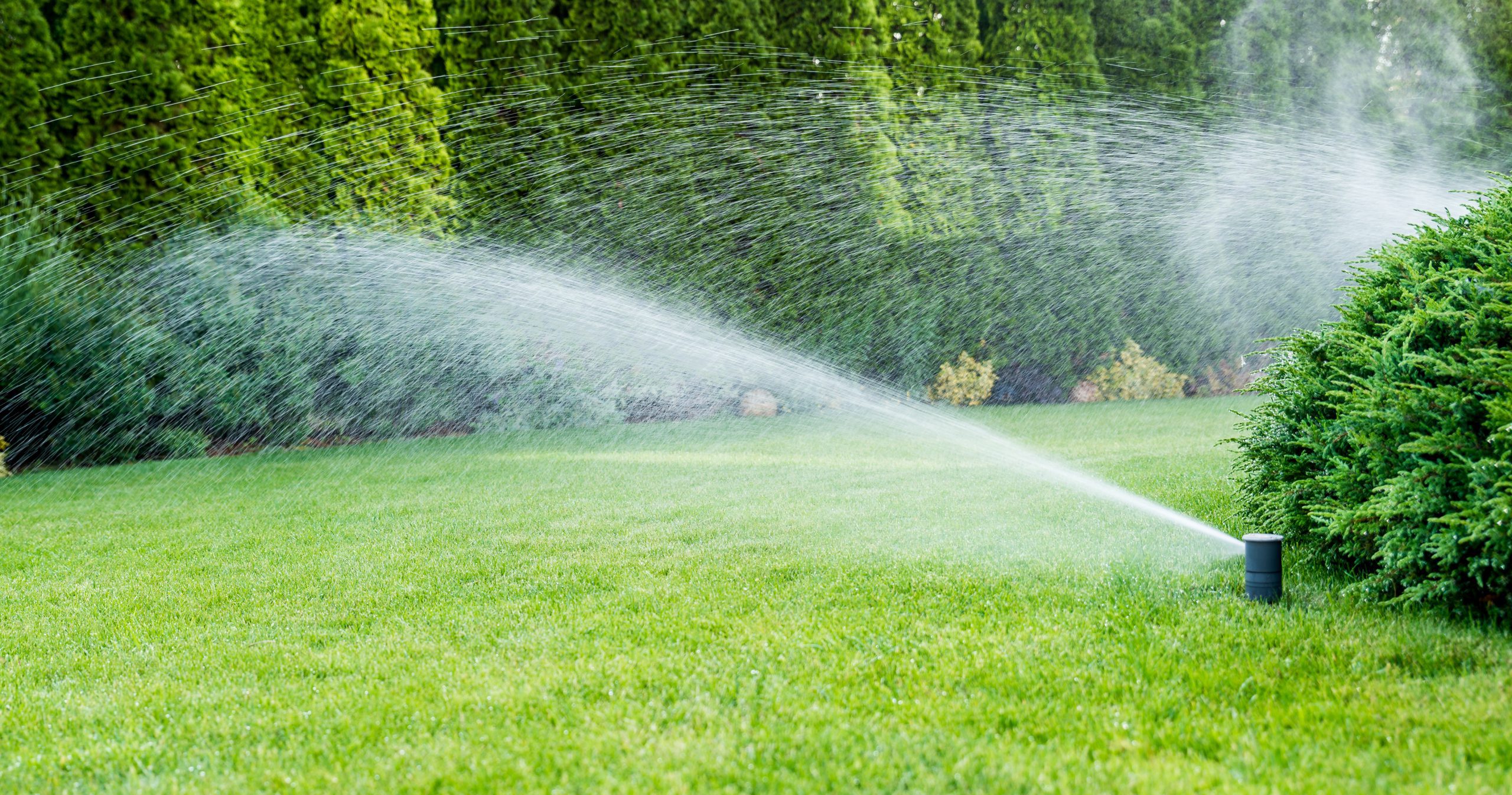 How & Why You Should Winterize Your Sprinkler System