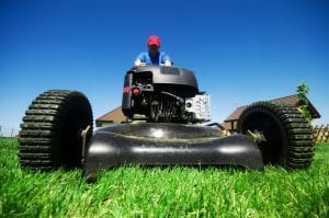 5 Things Lawn Care Providers Wish You Knew