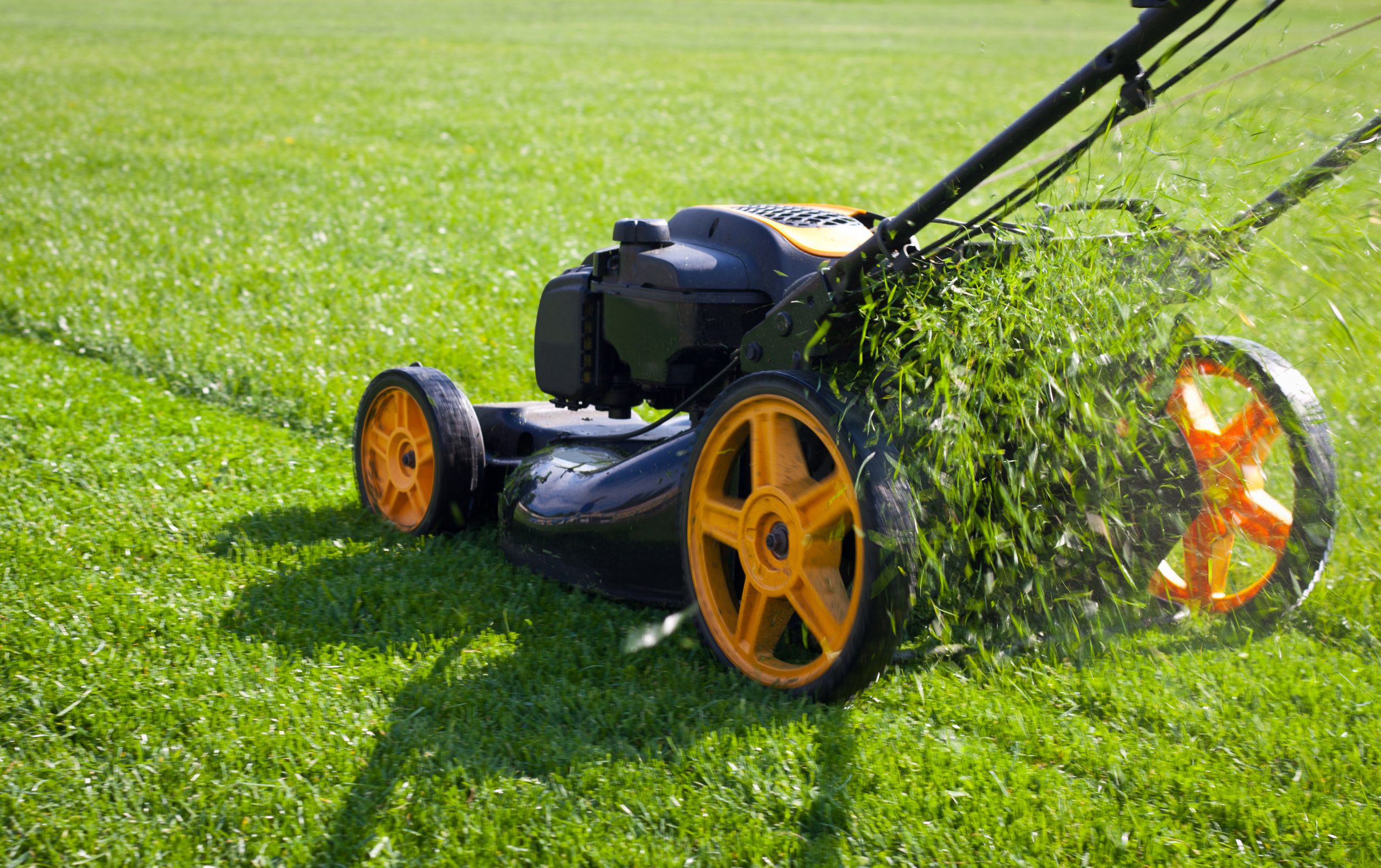 Best Ways To Get Lawn Care Customers