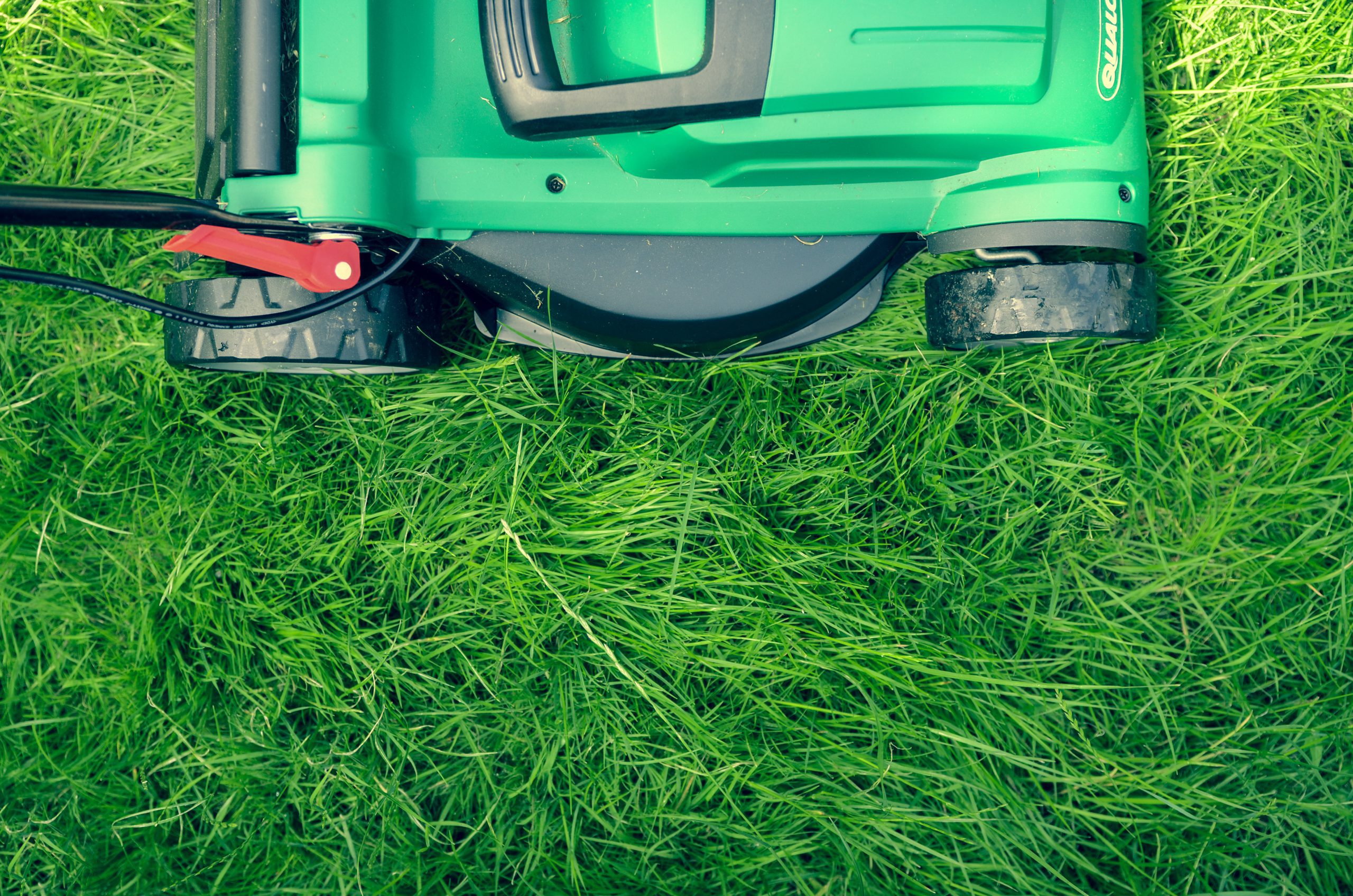 Double Cutting Your Lawn: Is It Worth It?