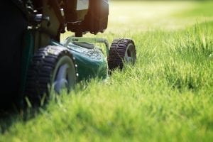 Here's How Short To Cut Your Grass In The Spring