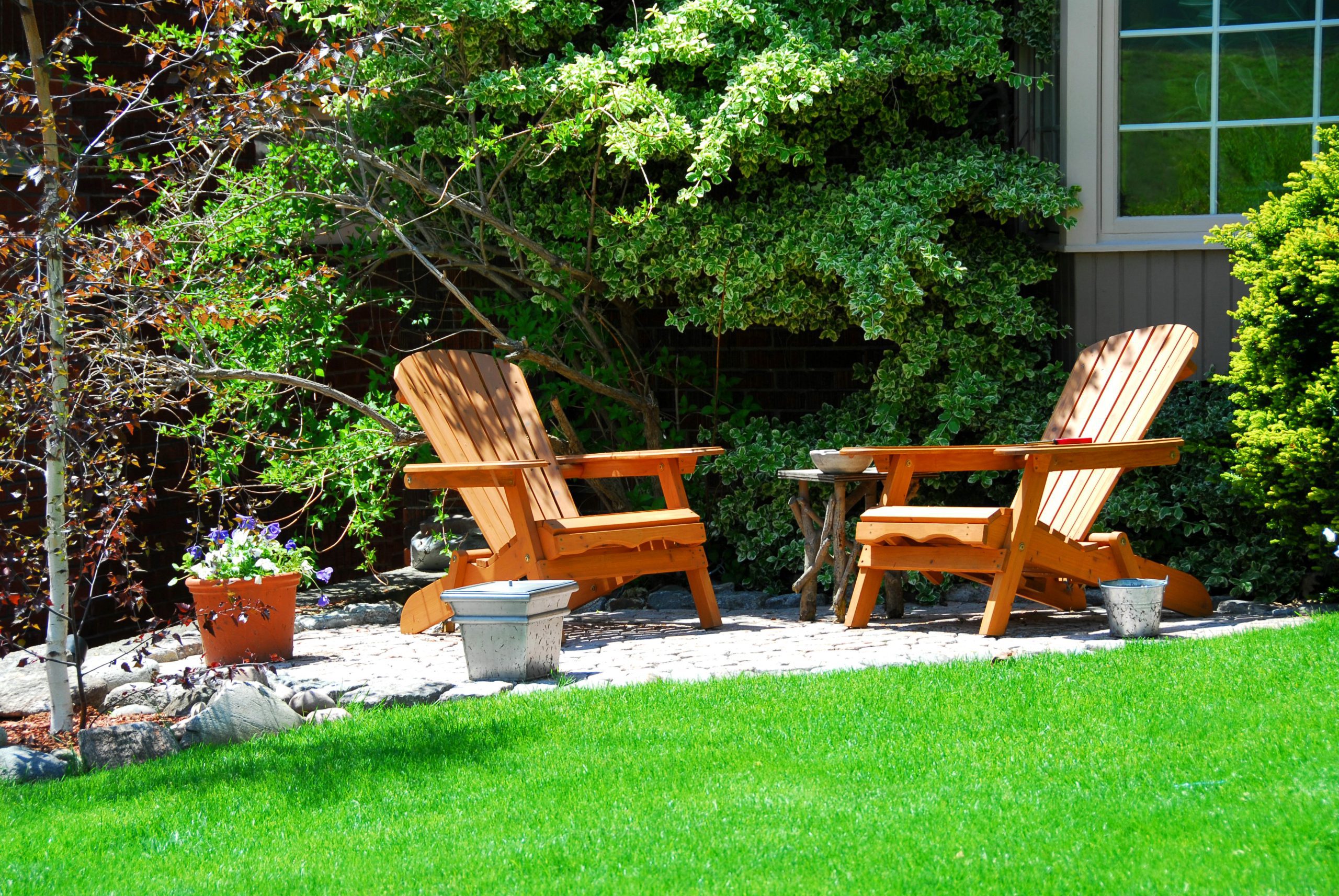 Lawn Care in Detroit, MI: What To Know