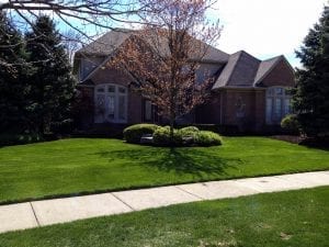 lawn and landscape install in Bloomfield