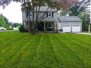 lawn mowing in Philadelphia