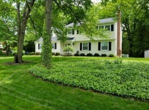 Freshly cut lawn in Philadelphia