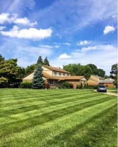 freshly cut lawn in Livonia