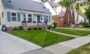 on-demand lawn care in Hazel Park