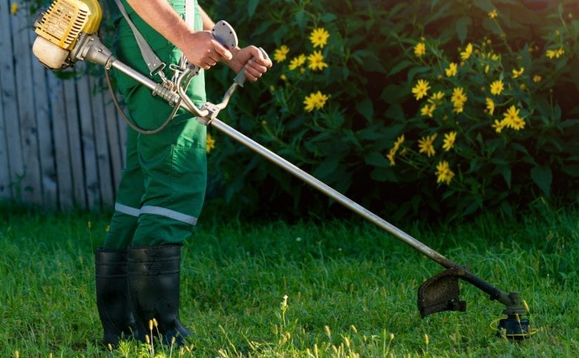 Grass trimming with a whipper