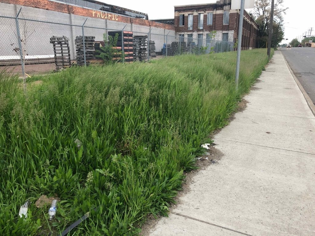 Esoteric Urban Farming