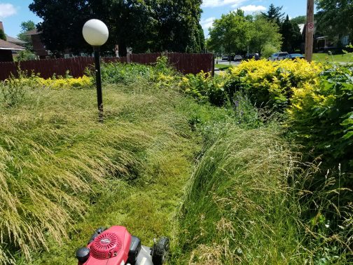 Just keep mowing. Just keep mowing