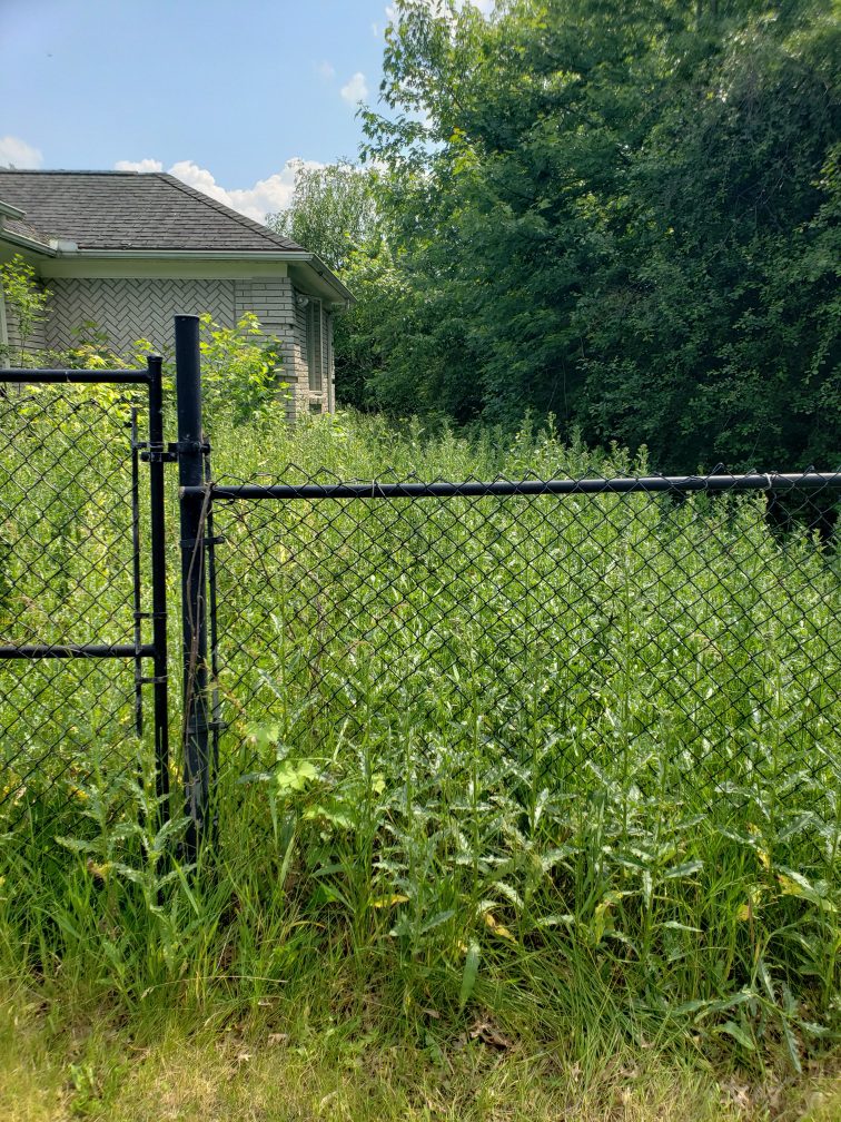 Keep out; aggressive weeds