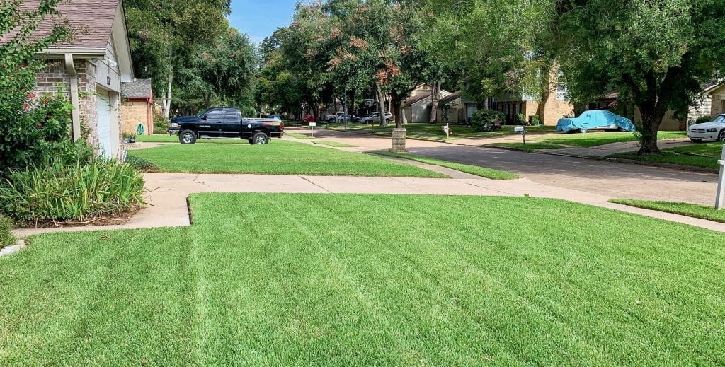 Best lawn care company in Houston, Texas