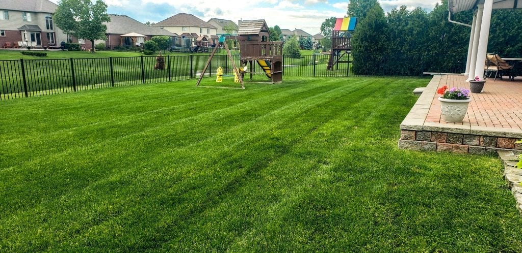 Best lawn service in Sterling Heights