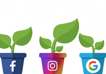 Growing Social Media