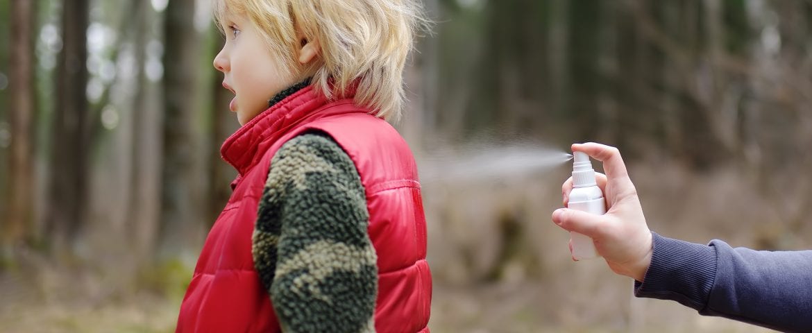 Insect Free Spray