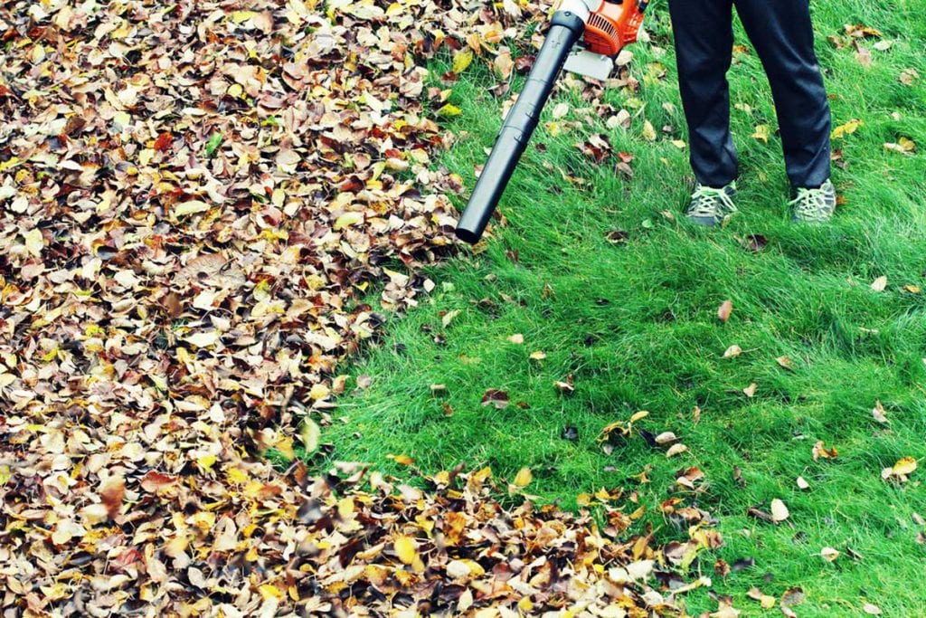 How to winterize your lawn with a Fall leaf clean-up 