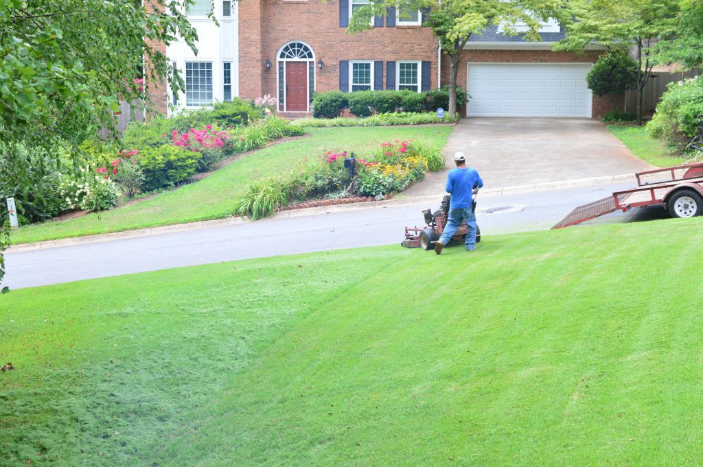 Man mowing the lawn low before fall