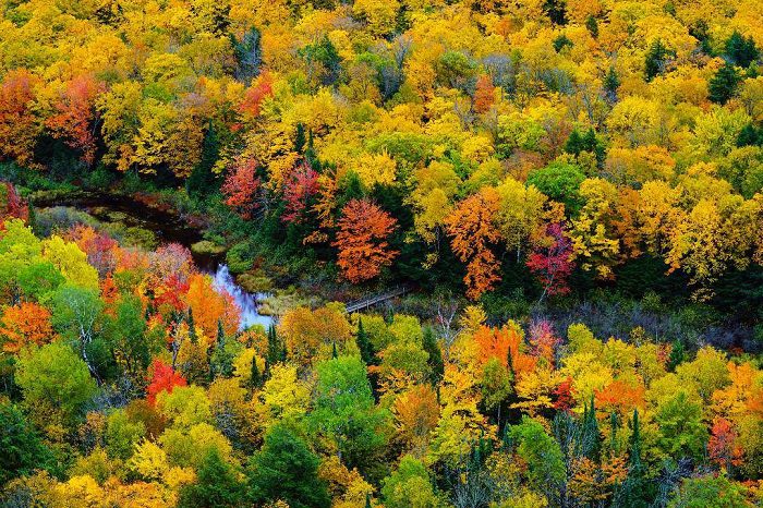 Fall foliage at Porcupine Mountains State Park.