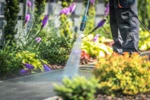 Power Washing Garden Paths