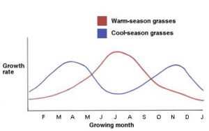 growth rates of grasses over the season