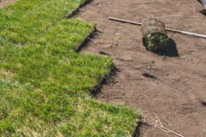 new sod installation