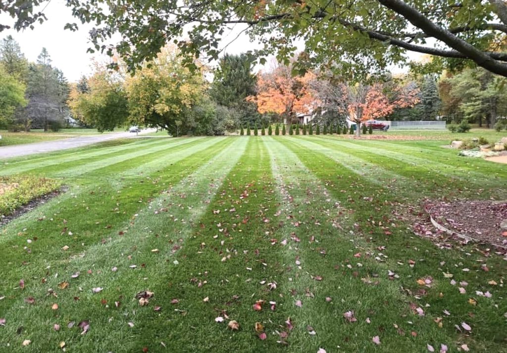 Freshly cut lawn during fall in michigan