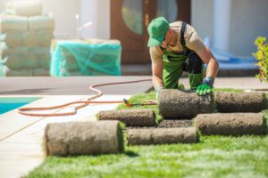 Professional Landscaper Installing New Grass Turfs in a Garden