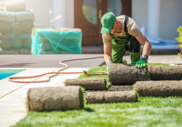 Professional Landscaper Installing New Grass Turfs in a Garden