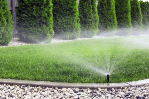 Watering lawn