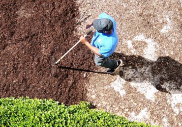 Yard man spreading mulch in outdoor garden area of a beach condo in maintenance of landscaping.