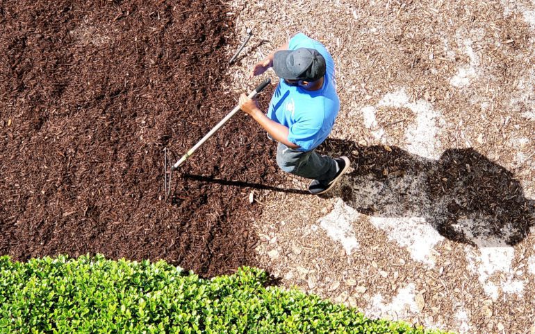 Yard man spreading mulch in outdoor garden area of a beach condo in maintenance of landscaping.