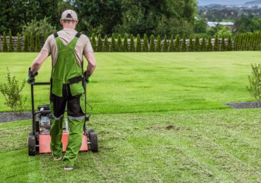 Gardener in His 40s and His Powerful Gasoline Lawn Aerator