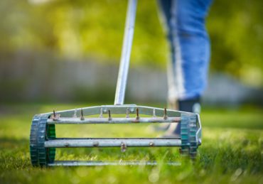 Picture of grass aerator on the green lawn