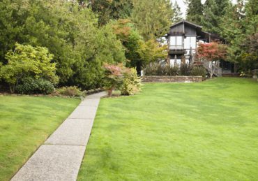 Freshly mowed lawn in Canton Michigan