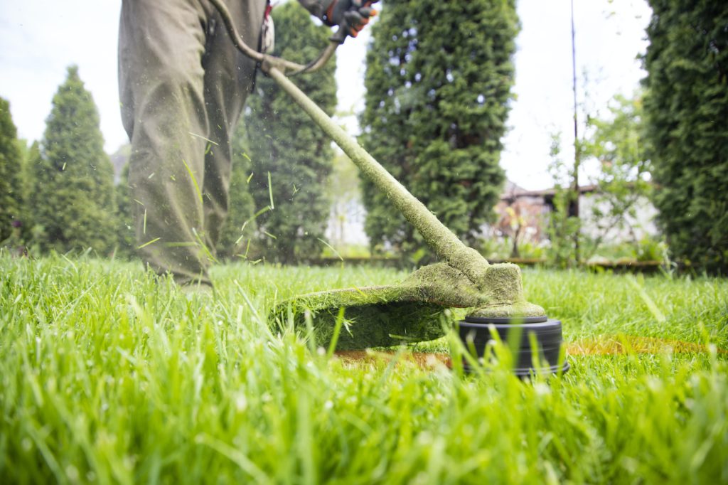 Freshly mowed lawn in Flint Michigan