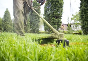 Freshly mowed lawn in Flint Michigan