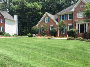 Fresh mowed lawn in Royal Oak Michigan
