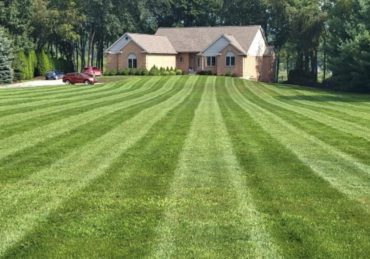 Fresh mowed lawn in Ypsilanti Michigan