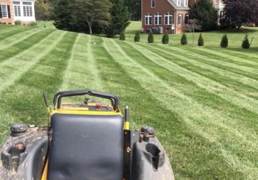 Fresh mowed lawn in Southfield Michigan