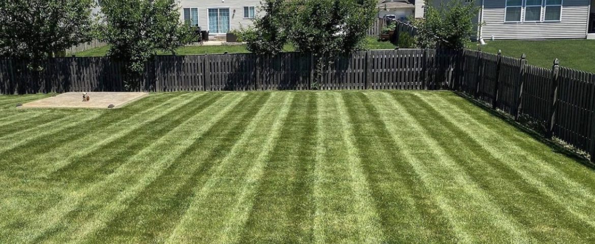 Fresh mowed lawn in The Woodlands Texas