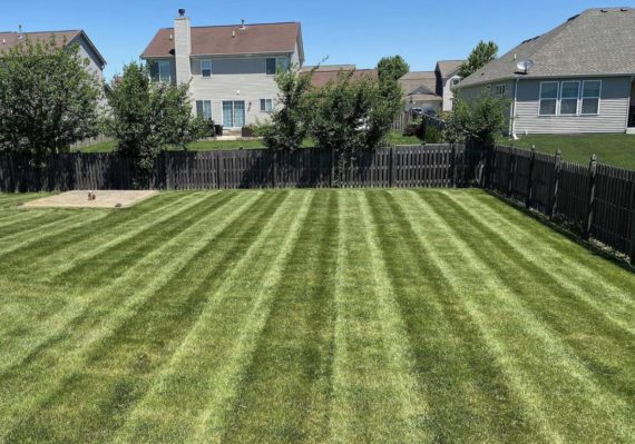 Fresh mowed lawn in The Woodlands Texas