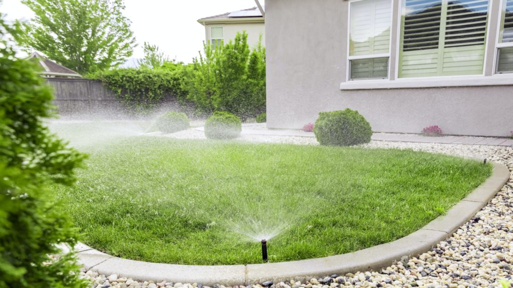 Freshly mowed lawn with sprinkler system in Oak Park Michigan