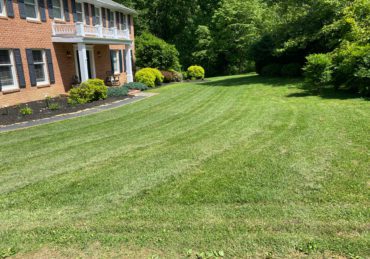 Fresh mowed lawn in Warren Michigan