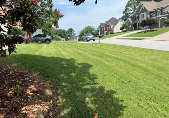 Freshly mowed lawn in Gainesville Georgia