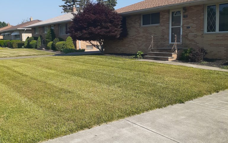 Fresh mowed lawn in Houston Heights Texas