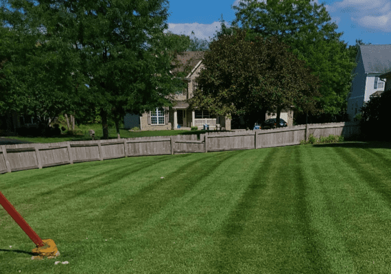 Freshly mowed lawn in Irving Texas