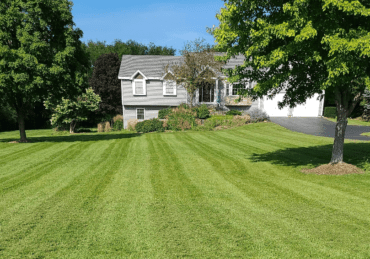 Freshly mowed lawn in Naperville Illinois