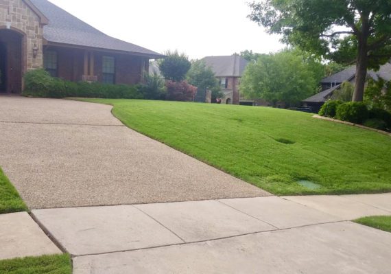 Freshly mowed lawn in Plano Texas