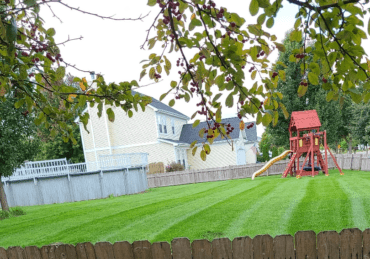 Freshly mowed lawn in Aurora Illinois